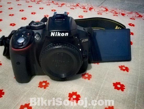 Nikon D5300 with 18-55 VR Lens